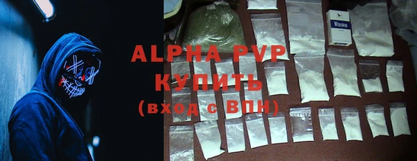 PSILOCYBIN Вяземский