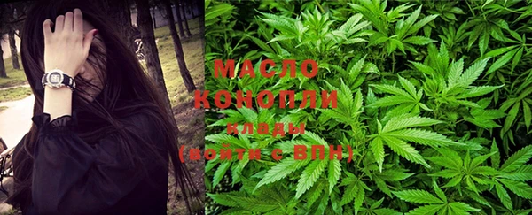 PSILOCYBIN Вяземский