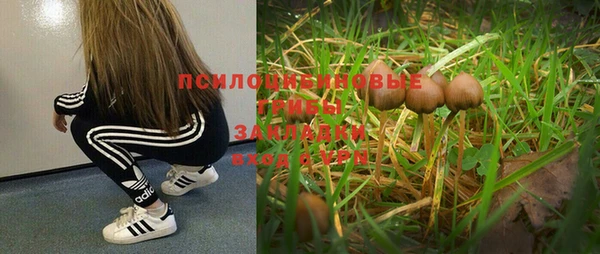 таблы Вязьма