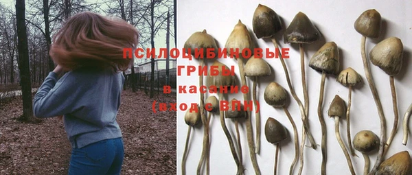 таблы Вязьма